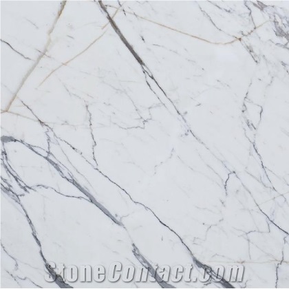 Wellest M813 Statuario White Marble Tile & Slab,Statuario Carrara White Marble