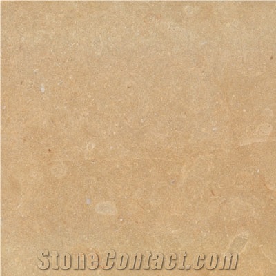 Wellest M854 Golden Sinai Limestone Tile & Slab