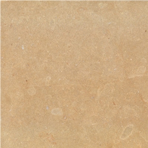 Wellest M854 Golden Sinai Limestone Tile & Slab