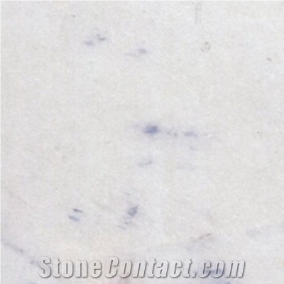 Wellest M876 Polaris Civic Marble Tile & Slab, Polaris White Marble