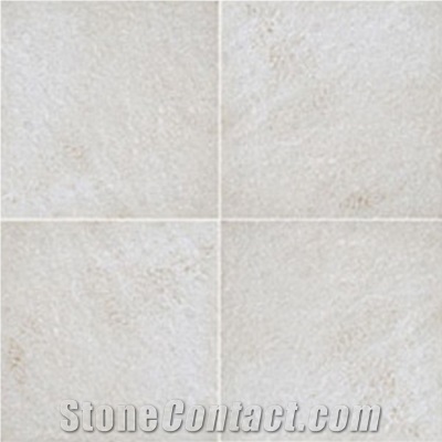 Wellest Qt310 Super White Quartzite Natural Stone Tile,China White Quartzite