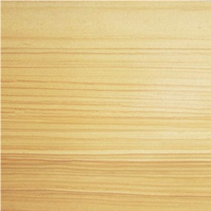 Wellest Sy154 Yellowood Sanstone Tile & Slab, Yellow Wood Sandstone Sandstone Slabs & Tiles