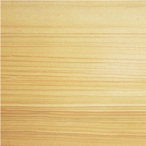 Wellest Sy154 Yellowood Sanstone Tile & Slab, Yellow Wood Sandstone Sandstone Slabs & Tiles