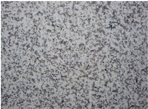 G655 Granite Slabs - Tongan White, China Grey Granite