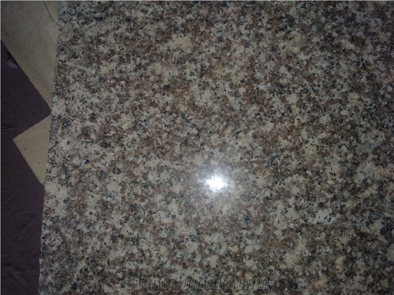 G664 Granite Slabs,Strips