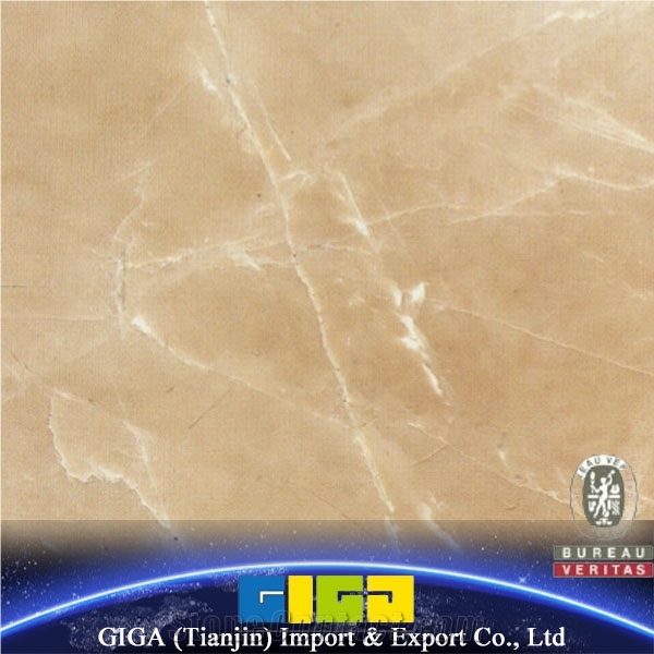 Giga Designs Polished Slabs, Tile/Marble Floor Tiles