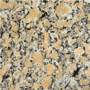 Amarillo Real Granite Tiles, Amarillo Real Granite Slabs
