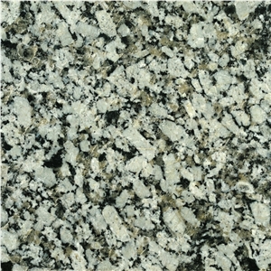 Gran Don Benito Granite Tiles, Spain Grey Granite