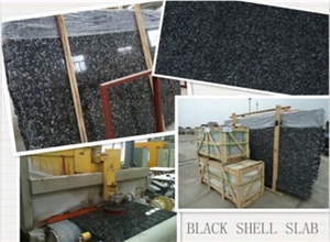 Sea Shell Black Marble Tiles & Slabs