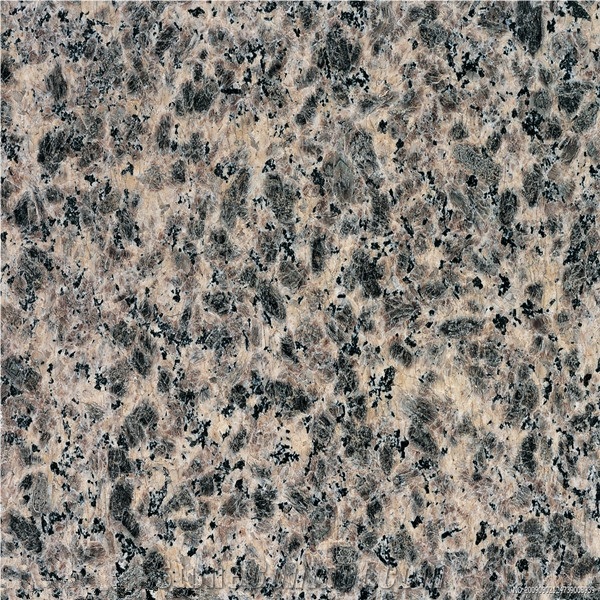 Zhangpu Leopard Skin Granite Slabs & Tiles, China Brown Granite