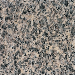 Zhangpu Leopard Skin Granite Slabs & Tiles, China Brown Granite