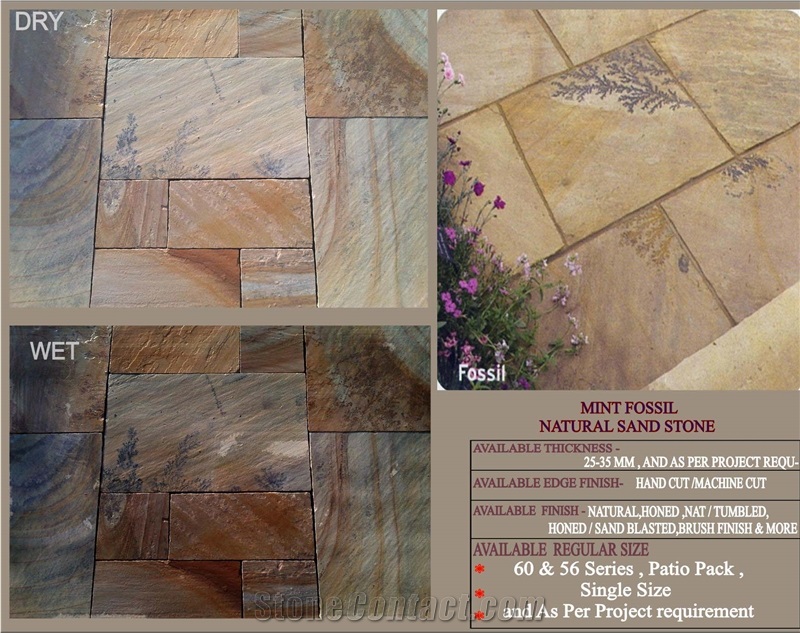 Mint Fossil Sandstone Slabs & Tiles, India Beige Sandstone