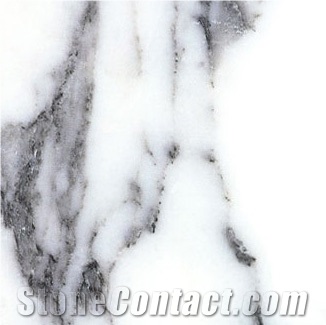 Aacient Wood Veins Marble Tile and Marble Slab,White Marble