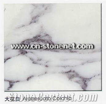 Arabescato Corchia Marble Tile and Marble Slab,White Marble