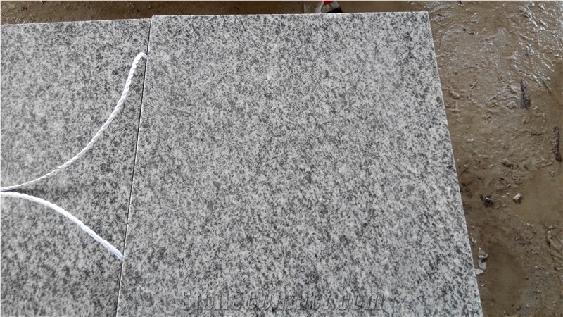 Silver Grey Granite Stone Slabs & Tiles,G359 Grey Granite Slabs & Tiles