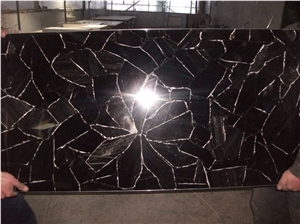 Petrefied Wood Semiprecious Stone Slabs