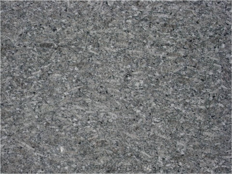 Chikoo Pearl Slabs & Tiles, India Grey Granite