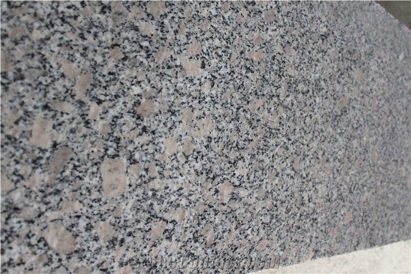 G383 Pearl Flower Granite Slab, Slabs