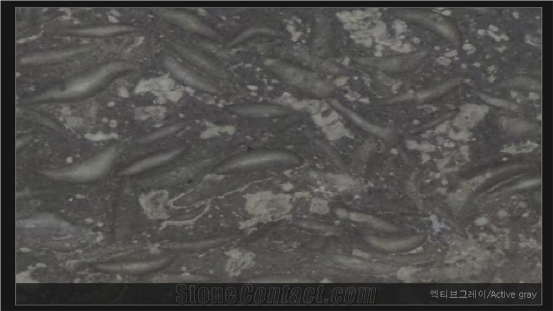 Ss Active Gray Marble Slabs & Tiles, Indonesia Grey Marble