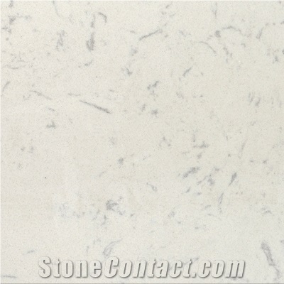 Wellest Wmx207 Arabescato Corchia White Engineered Marble Tile and Slab