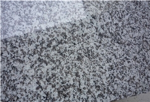 G439 Big Flower White, Small Granite Slab, Random Edge, Polished Surface,2cm,3cm Thick, China Grey Granite, Natural Stone