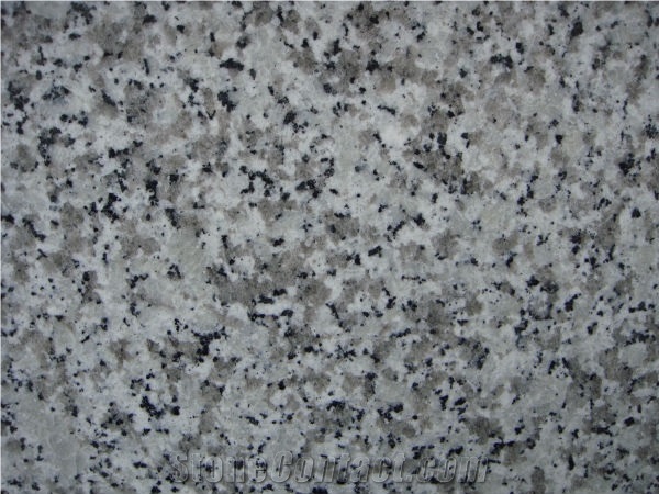 White Granite,Big White Flower Granite,G439 Tiles and Slabs