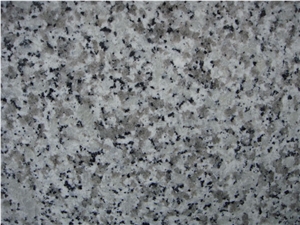 White Granite,Big White Flower Granite,G439 Tiles and Slabs