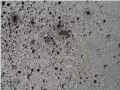 Limestone Moon Porous Surface Tiles, Indonesia Grey Limestone