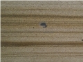 Sandstone Striped Tiles