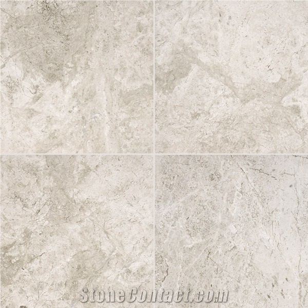 Silver Shadow Polished Marble Tiles