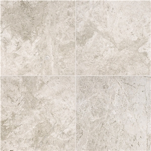 Silver Shadow Polished Marble Tiles