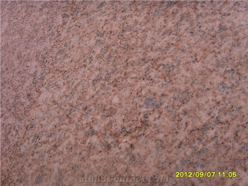 Good Yellow G350 Granite Slabs & Tiles, China Yellow Granite