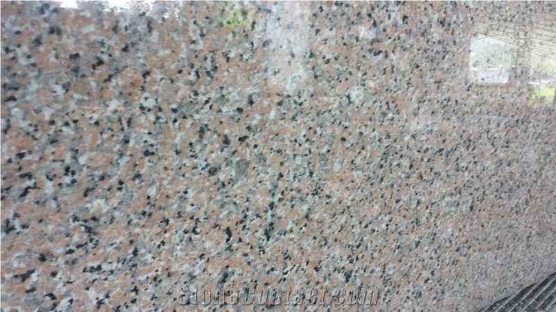 Rosa Porino Granite Slabs Tiles Cheap Chinese Pink Granite Natural Stone, China Pink Granite