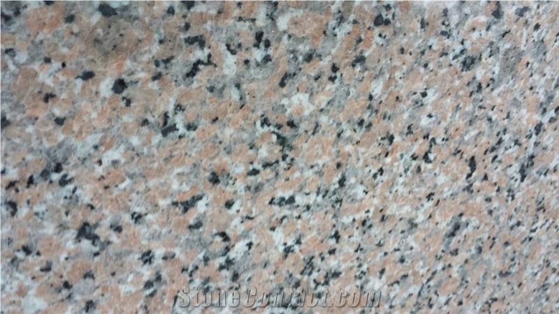 Rosa Porino Granite Slabs Tiles Cheap Chinese Pink Granite Natural Stone, China Pink Granite