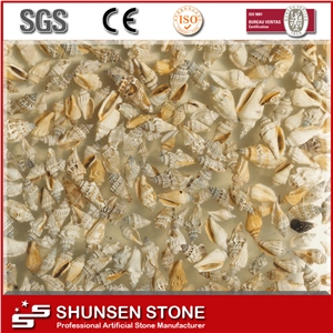 Latest Design Setting Wall Material Artificial Shell Stone Hy002