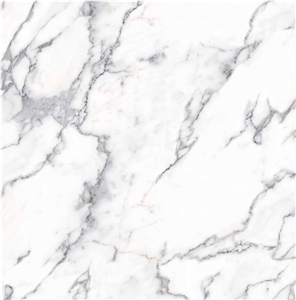 White Marble Carrara Ceramic Tiles