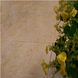 Iremia Crematos Slabs & Tiles, Iremia Creamatos - Aramis - Seabed Travertine Slabs & Tiles