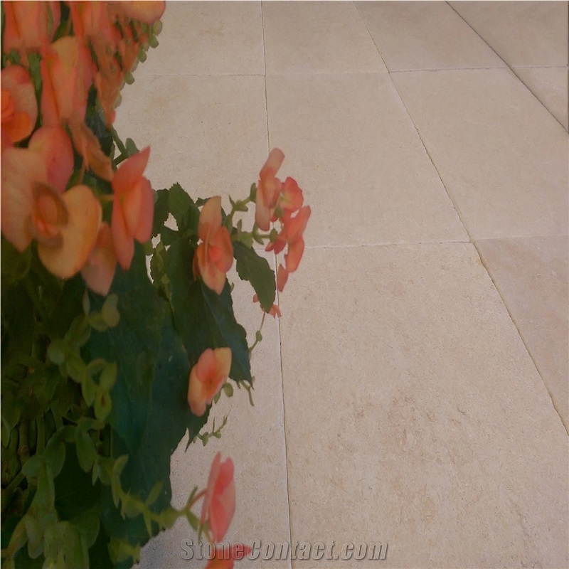 Maron Classic - Burguogne Renasiance - Seashell Limestone Slabs & Tiles, Turkey Beige Limestone