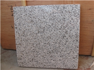 G365 Shandong Black Spotted White/Sesame White Flooring/Walling Chinese White/Grey Granite Tiles & Slabs