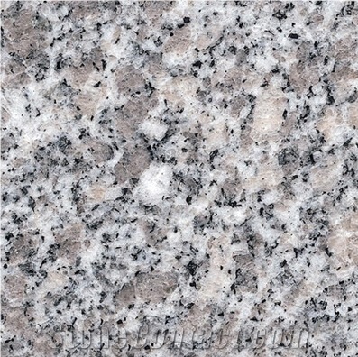 G602 Shishi White Flooring, Walling Chinese White/Grey Granite Tiles