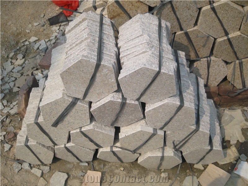 Irregular Shaped Paving Stone
