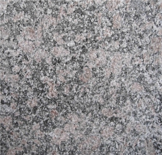 Royal Palm Drill Slabs Tiles From China Stonecontact Com