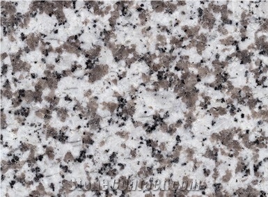 G439 Granite Tile, China White Granite
