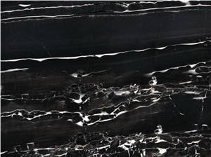 Silver Dragon Marble Tile, China Black Marble