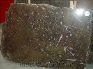 Brown Fossil Stone Marble in 2cm & 3cm Slabs, Morocco Brown Marble Slabs
