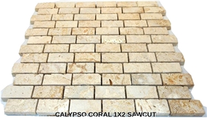 1" X 2" Mesh Mounted Calypso Coral Stone Brick Mosaics (Dominican Coral Stone) Tiles, Calypso Coral Stone Mosaic Tiles