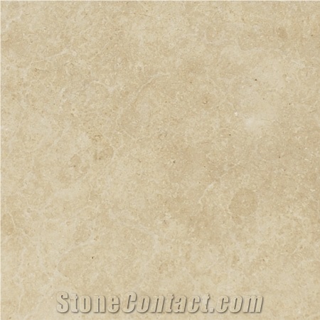 Seashell Honed Limestone Slab 1st Quality Random 3 Cm, Turkey Beige Limestone