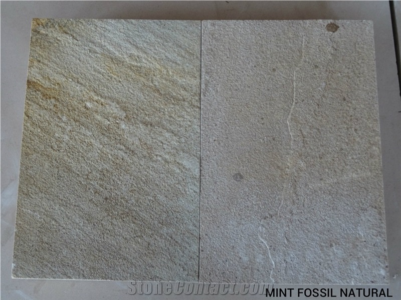 Mint Fossil Natural Sandstone Slabs & Tiles, India Beige Sandstone