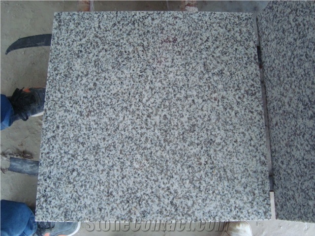 G655 White Granite Slabs ,China White Granite Slabs & Tiles