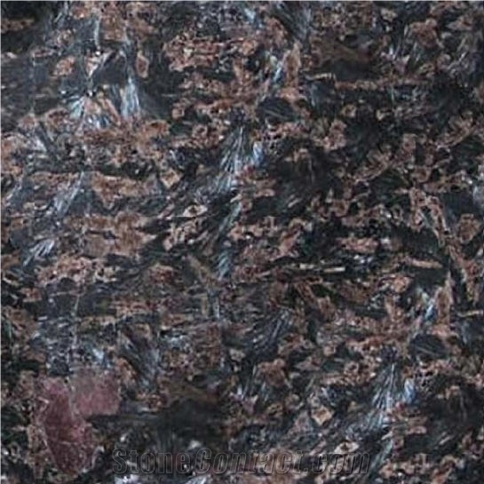 Silhouette Black Granite Slabs & Tiles
